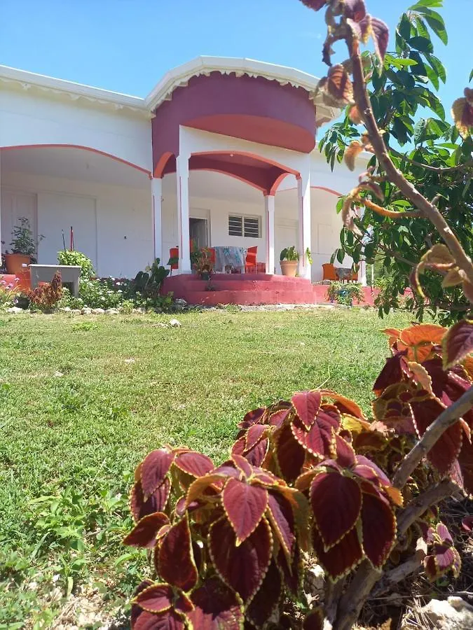 Clamy Des Iles Apartment Anse-Bertrand Homestay