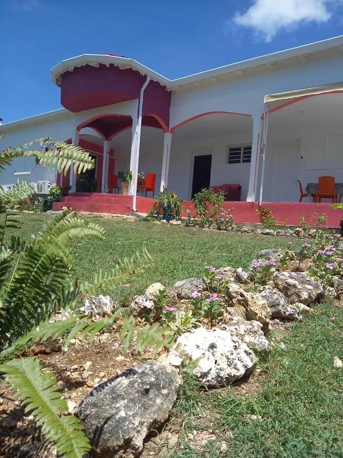 Homestay Clamy Des Iles Apartment Anse-Bertrand