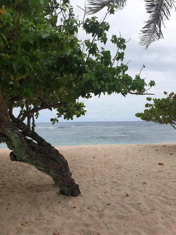Clamy Des Iles Apartment Anse-Bertrand Guadeloupe